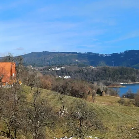 Brvnara Jezda * Bajina Basta